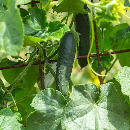 Holiday home Pilati *